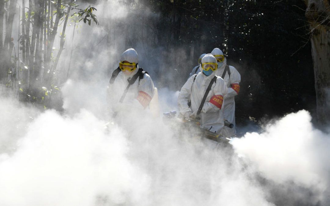 Los muertos en China por el Covid-19 llegaron a 2.004