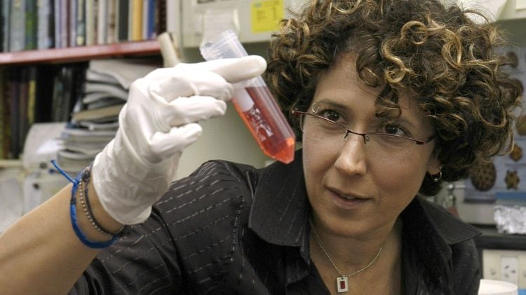 Incorporan a viróloga argentina a la Academia de EEUU de las Artes y las Ciencias