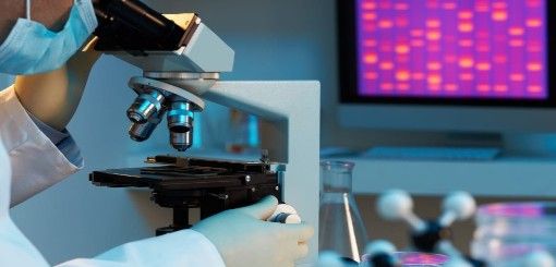 Desde la unidad Covid-19 del CONICET ven probable una vacuna para 2021