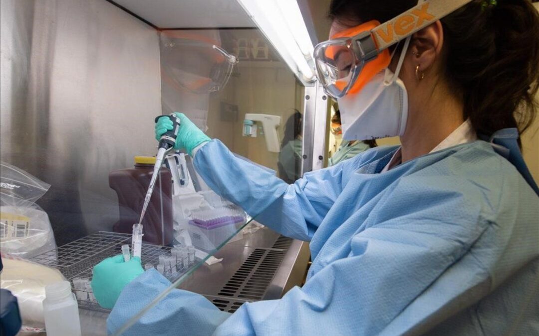 Importante estudio en Argentina sobre mortalidad por bacterias resistentes a medicamentos