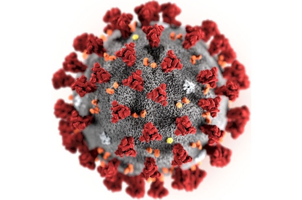 Coronavirus es una enfermedad vascular