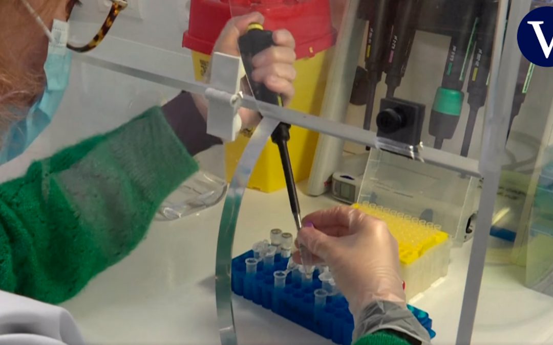 Lo que más preocupa de las nuevas variantes del coronavirus