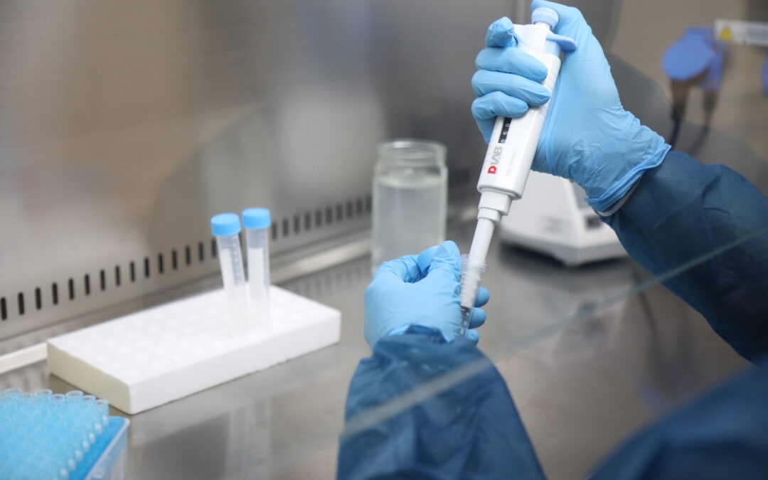 El Sur provincial cuenta con 4 laboratorios de biología molecular