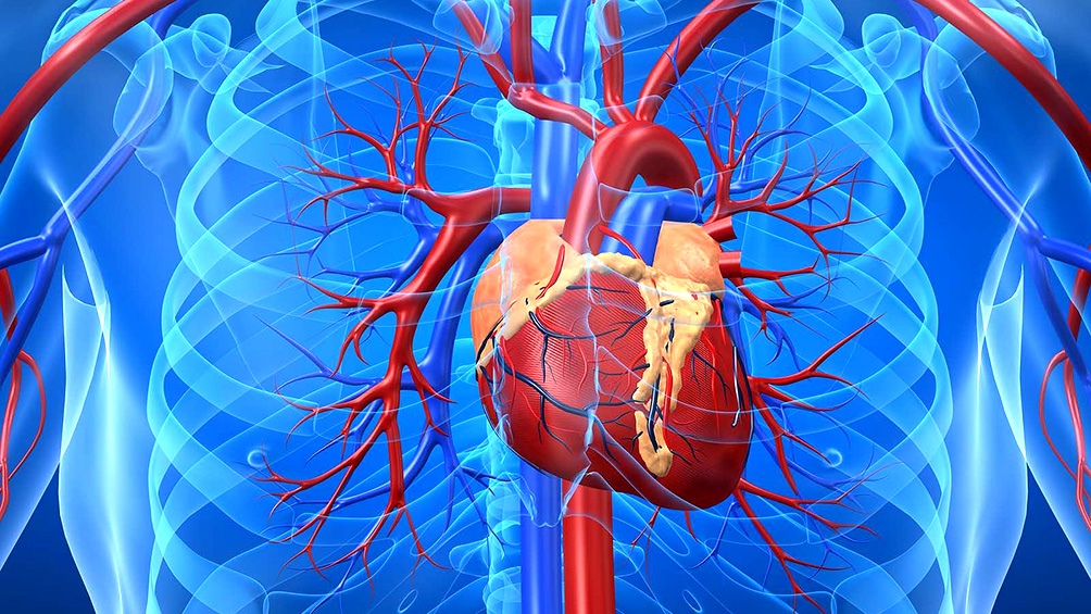 Hipertensión arterial