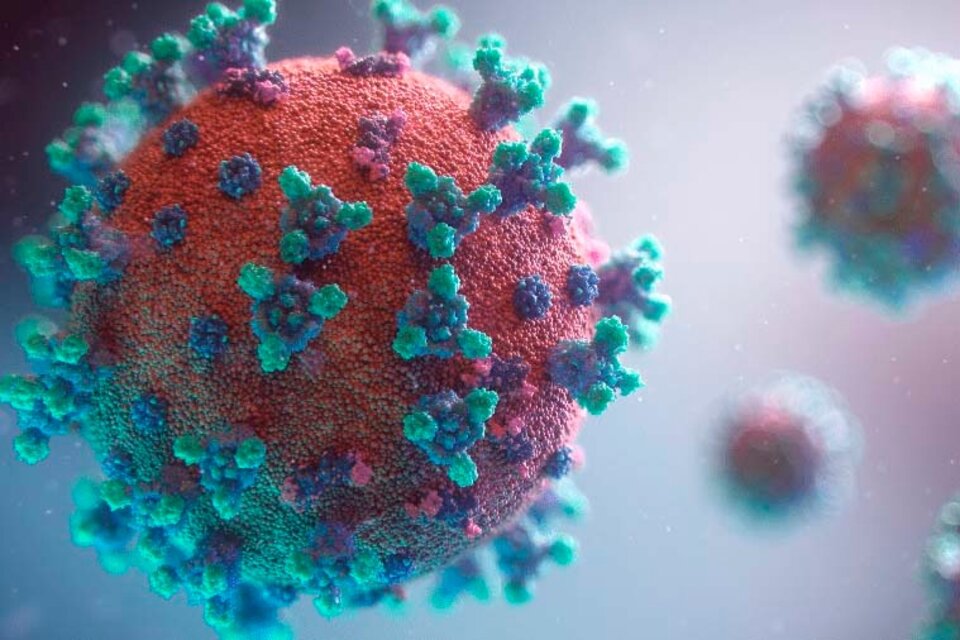 El coronavirus es una enfermedad vascular y no respiratoria
