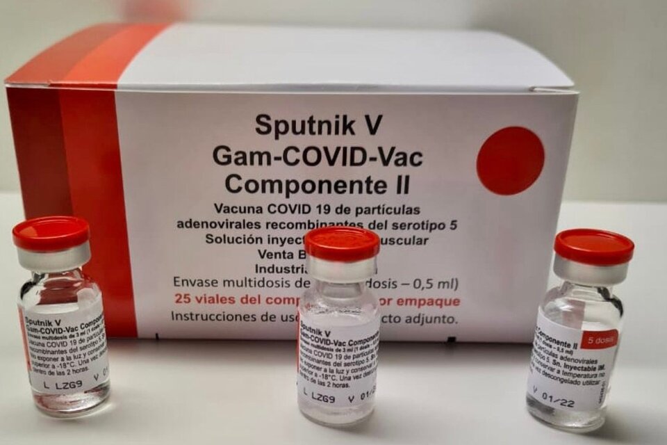 Sputnik V: el laboratorio Richmond terminó la producción local de 153.411 dosis del componente 2