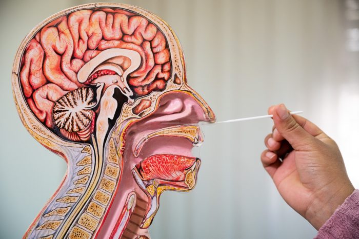 Conocimiento y prevención en tiempo de pandemia: el combo que protege tu vida