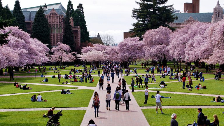 Universidad de Washington