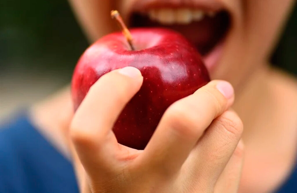 Nutrición