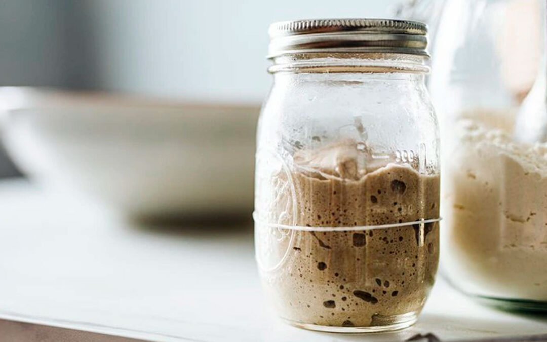 Cuáles son los alimentos fermentados que mejoran la salud