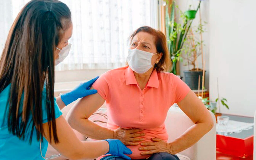 Argentinos descubren circuitos clave del sistema inmune en el intestino