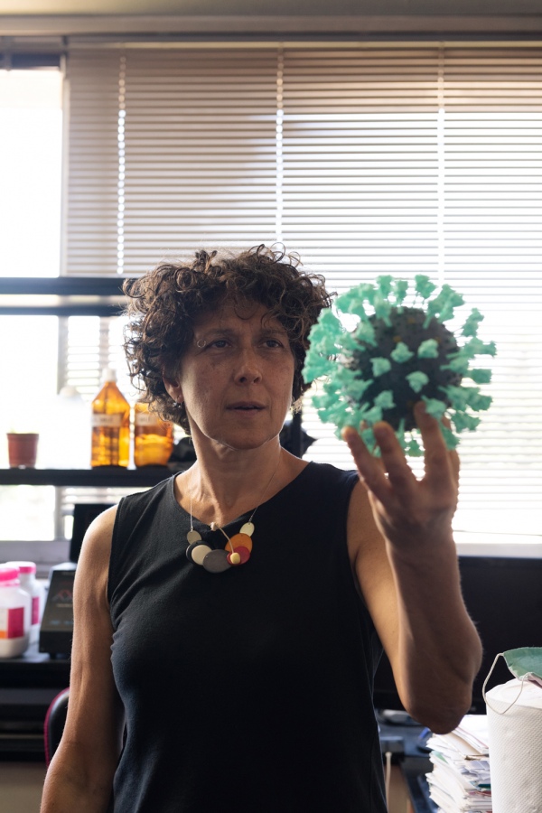 Gamarnik mira maqueta de un coronavirus-Música por la ciencia