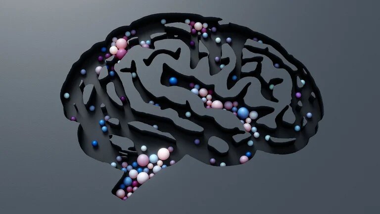 Cómo funciona el olvido en el cerebro, según expertos de Harvard