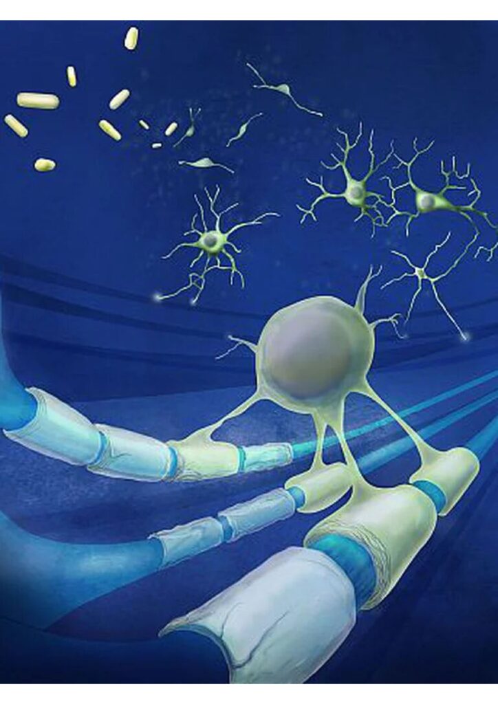 estudios clínicos con ofatumumab