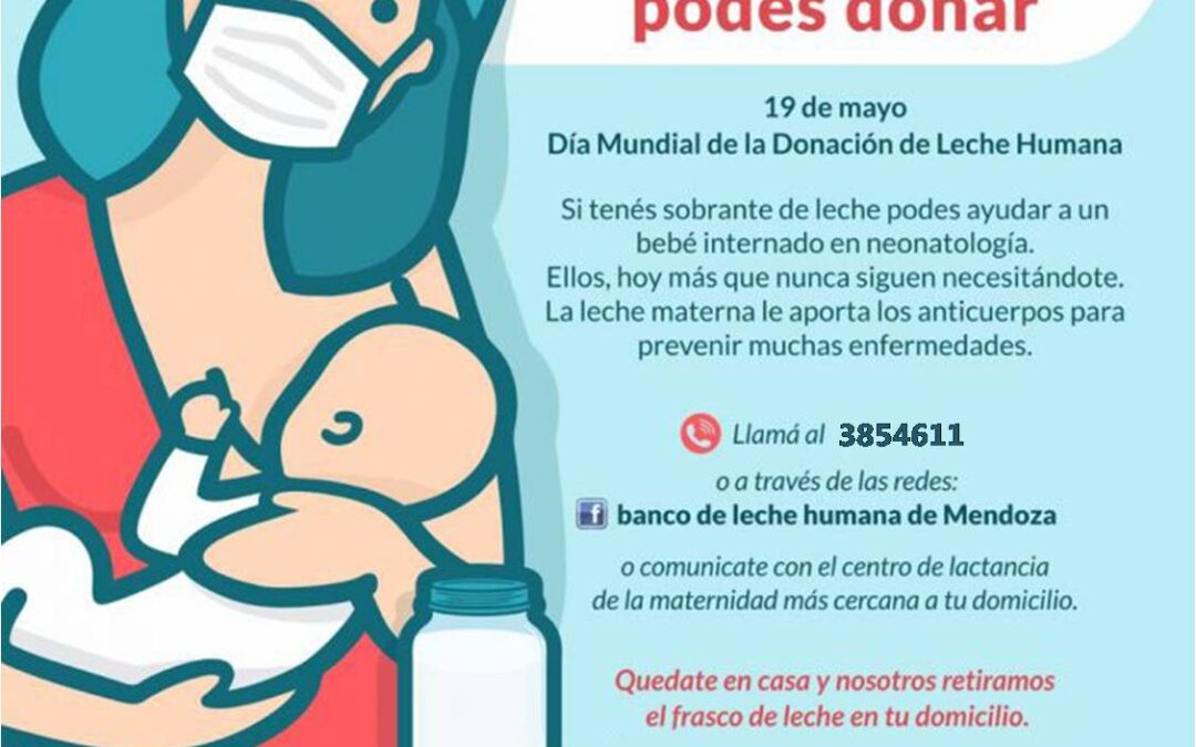 Día Mundial de la Donación de Leche Humana: Mendoza y el apoyo a la lactancia materna