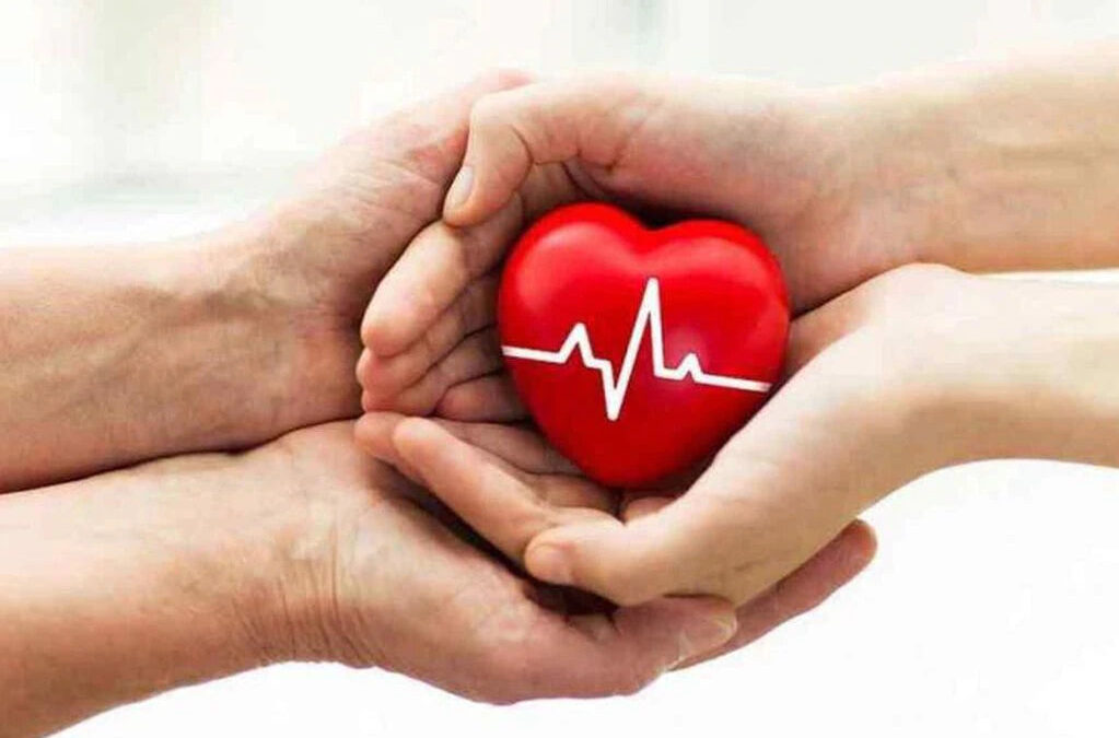 Donación de órganos y tejidos: donar es dar luz, vida y esperanza