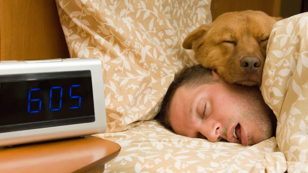 Mitos, leyendas, realidades y consejos saludables sobre dormir con las mascotas