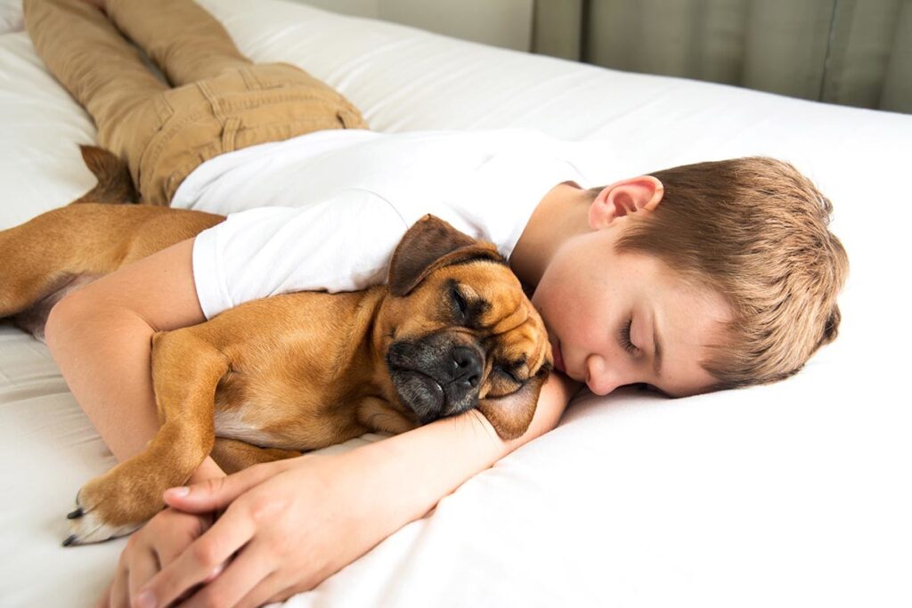 Mitos, leyendas, realidades y consejos saludables sobre dormir con las mascotas