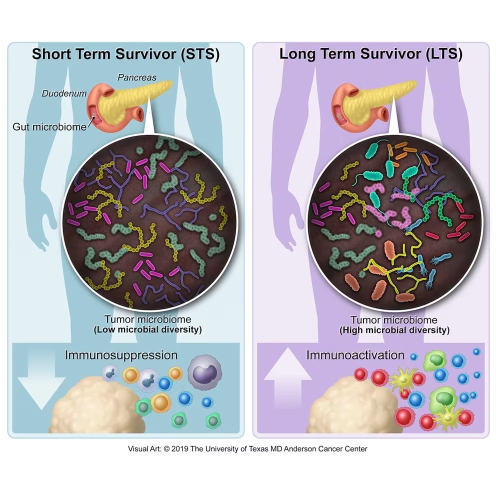 Tumor con mayor diversidad de microbios