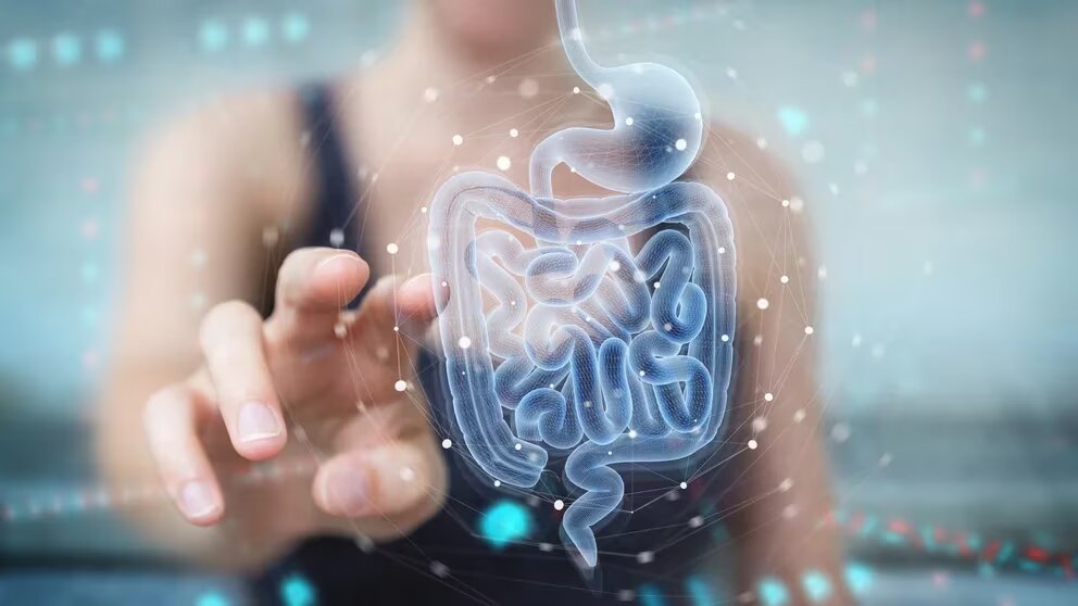 Nueva hipótesis sobre el origen del Parkinson, ¿la clave podría estar en el intestino?