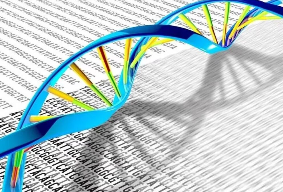 Estudios genéticos, una herramienta clave para prevenir enfermedades cardiovasculares