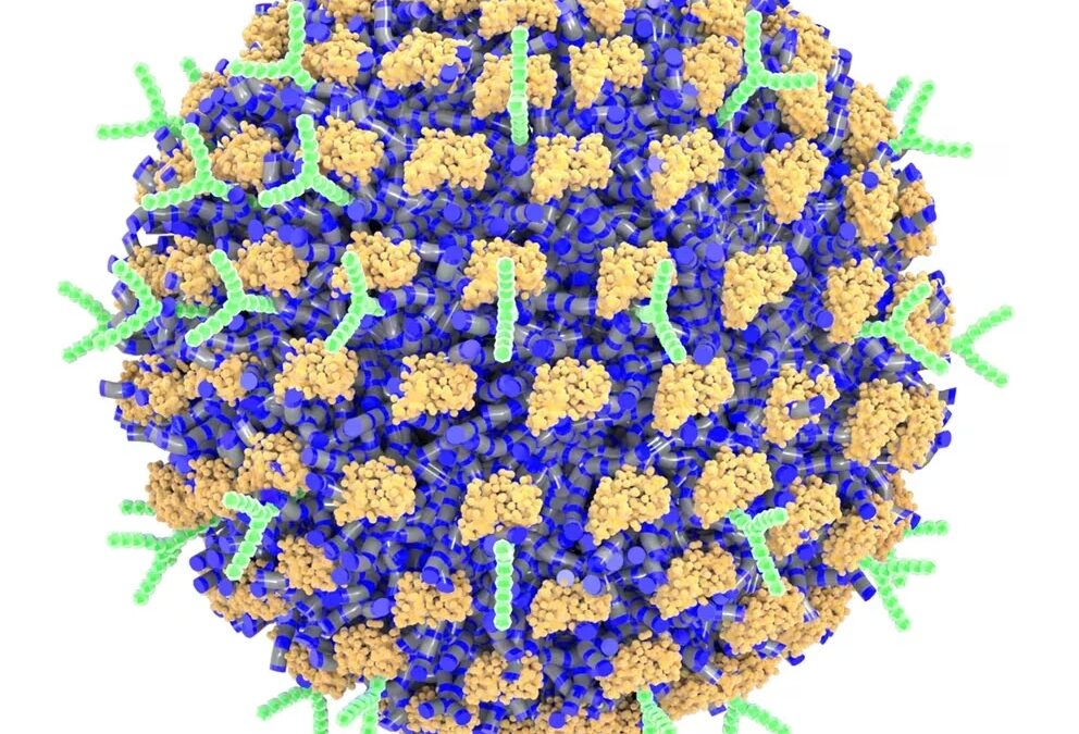 Un estudio con nanopartículas abre la puerta a una forma segura de prevenir las alergias