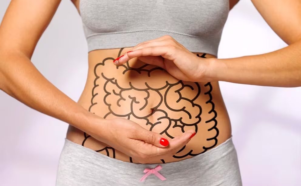 Microbiota intestinal - salud digestiva